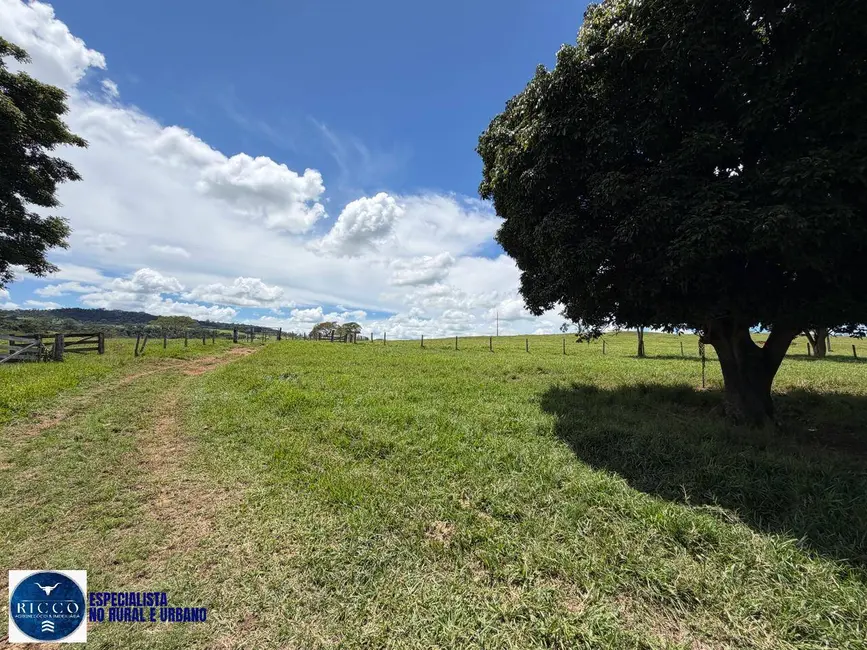 Foto 5 de Chácara à venda em Inhumas - GO