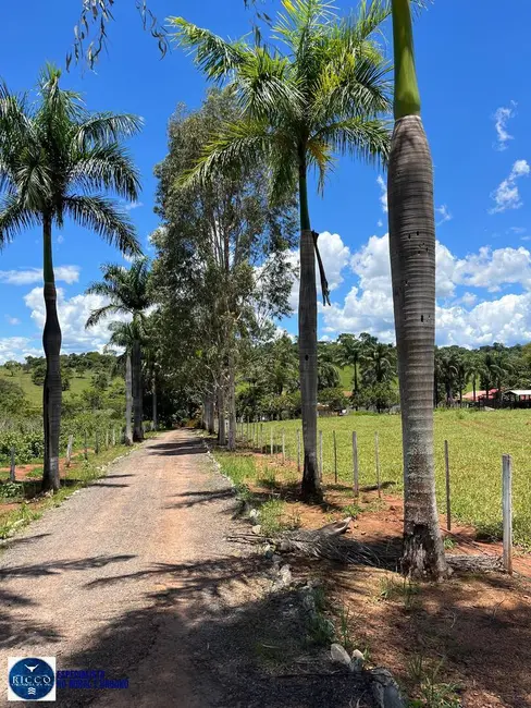 Foto 7 de Chácara com 3 quartos à venda em Sao Francisco De Goias - GO