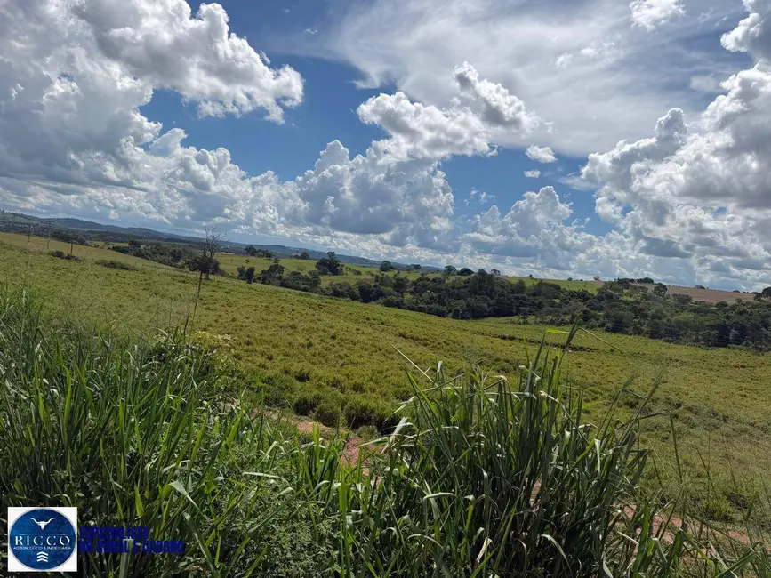 Chácara à venda em Inhumas - GO - imagem 5 Foto 5 de Chácara à venda em Inhumas - GO