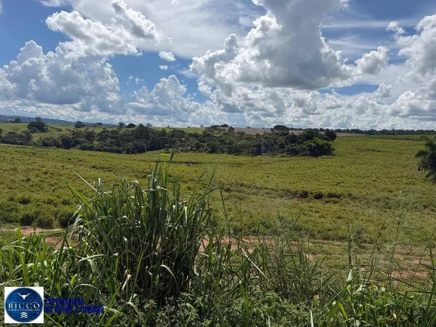 Chácara à venda em Inhumas - GO - imagem 4 Foto 4 de Chácara à venda em Inhumas - GO