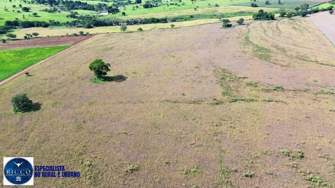 Foto 6 de Chácara à venda em Caturai - GO