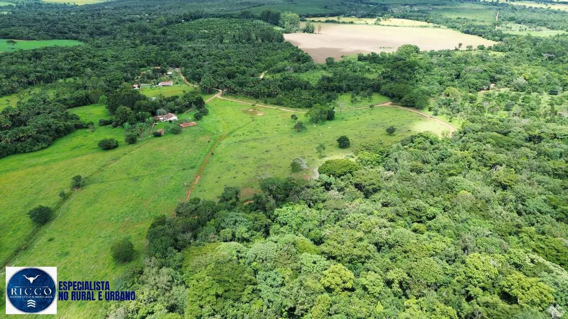 Fazenda / Haras com 3 quartos à venda, 79m2 em Pirenopolis - GO - imagem 6 Foto 6 de Fazenda / Haras com 3 quartos à venda, 79m2 em Pirenopolis - GO