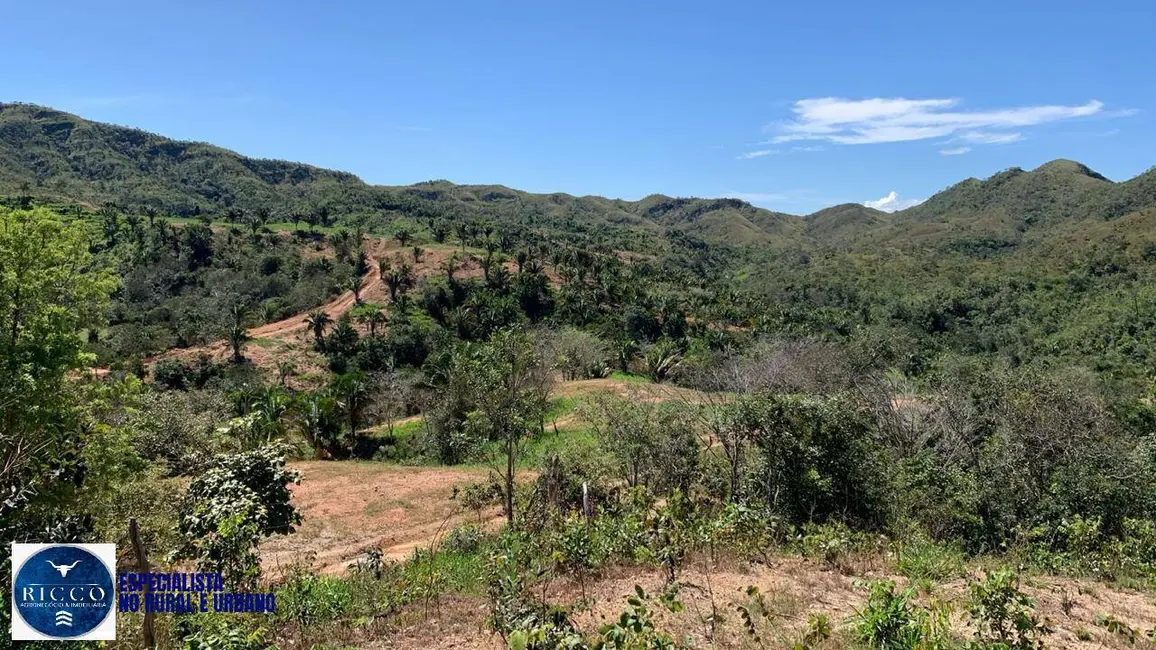 Foto 9 de Fazenda / Haras com 4 quartos à venda, 153m2 em Niquelandia - GO