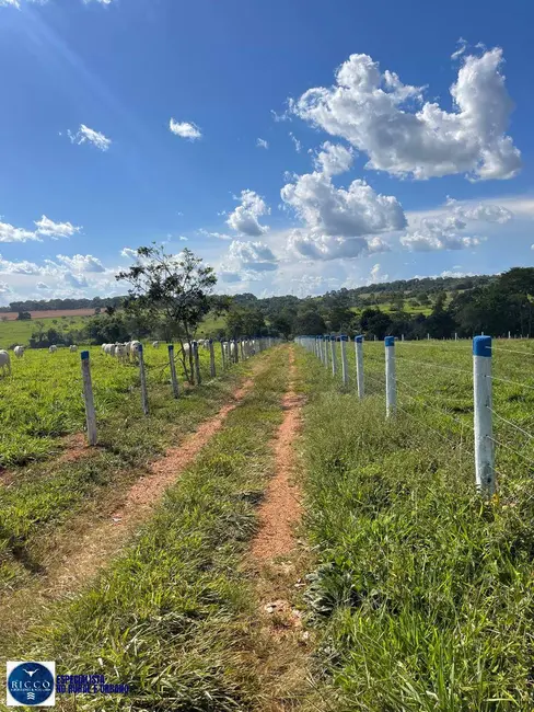 Foto 3 de Chácara com 3 quartos à venda, 34000m2 em Inhumas - GO