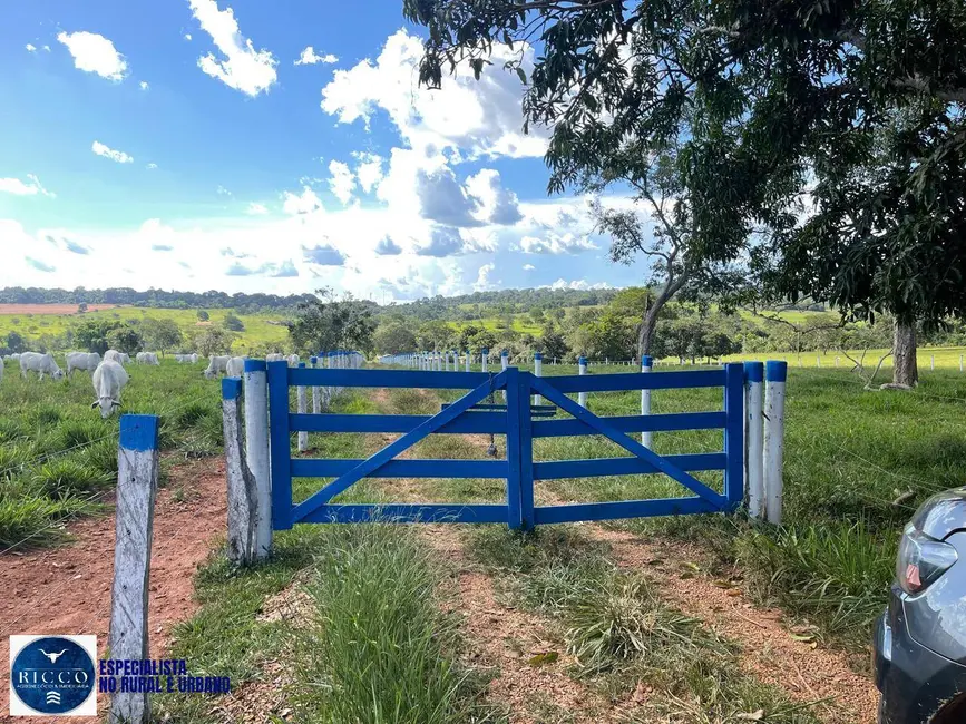 Foto 2 de Chácara com 3 quartos à venda, 34000m2 em Inhumas - GO