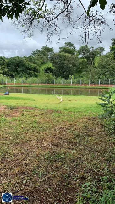 Foto 6 de Chácara com 3 quartos à venda, 34000m2 em Inhumas - GO