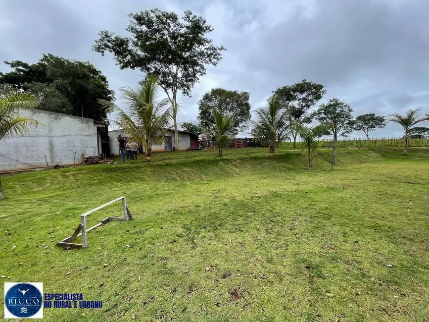 Foto 5 de Chácara com 3 quartos à venda, 34000m2 em Inhumas - GO