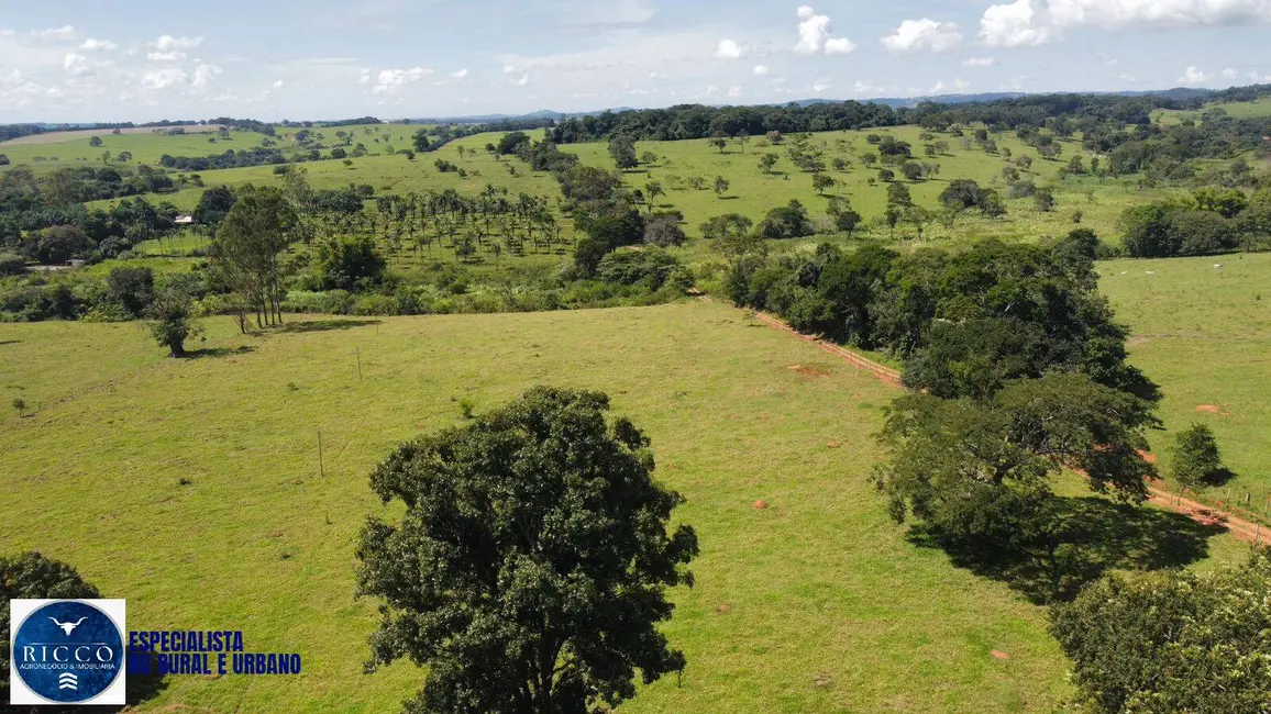 Foto 5 de Chácara com 3 quartos à venda em Itaucu - GO