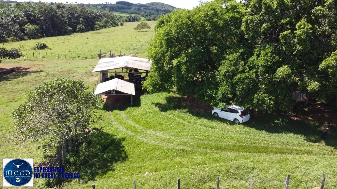 Fazenda / Haras com 3 quartos à venda, 53m2 em Santa Fe De Goias - GO - imagem 6 Foto 6 de Fazenda / Haras com 3 quartos à venda, 53m2 em Santa Fe De Goias - GO