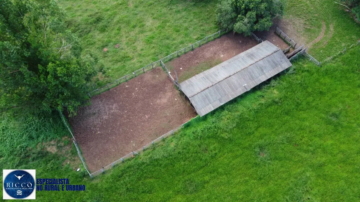 Fazenda / Haras com 3 quartos à venda, 53m2 em Santa Fe De Goias - GO - imagem 4 Foto 4 de Fazenda / Haras com 3 quartos à venda, 53m2 em Santa Fe De Goias - GO