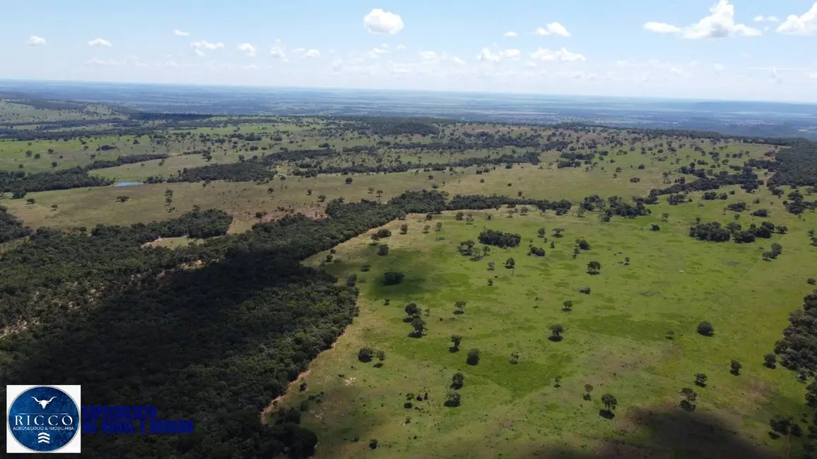 Fazenda / Haras com 3 quartos à venda, 53m2 em Santa Fe De Goias - GO - imagem 8 Foto 8 de Fazenda / Haras com 3 quartos à venda, 53m2 em Santa Fe De Goias - GO