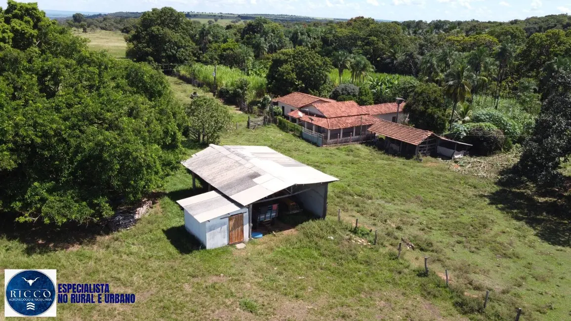 Fazenda / Haras com 3 quartos à venda, 53m2 em Santa Fe De Goias - GO - imagem 7 Foto 7 de Fazenda / Haras com 3 quartos à venda, 53m2 em Santa Fe De Goias - GO