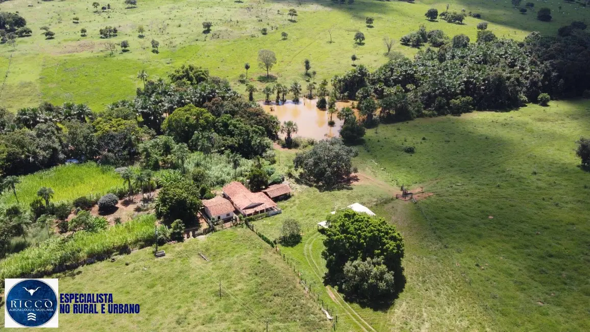 Fazenda / Haras com 3 quartos à venda, 53m2 em Santa Fe De Goias - GO - imagem 2 Foto 2 de Fazenda / Haras com 3 quartos à venda, 53m2 em Santa Fe De Goias - GO