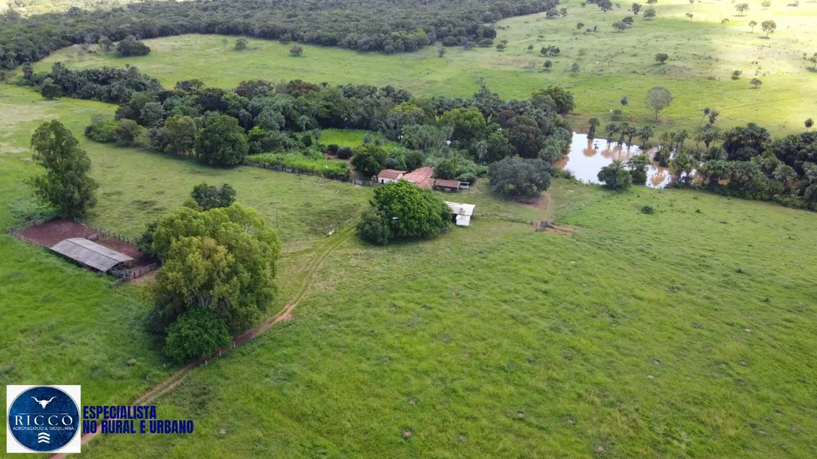 Fazenda / Haras com 3 quartos à venda, 53m2 em Santa Fe De Goias - GO - imagem 5 Foto 5 de Fazenda / Haras com 3 quartos à venda, 53m2 em Santa Fe De Goias - GO