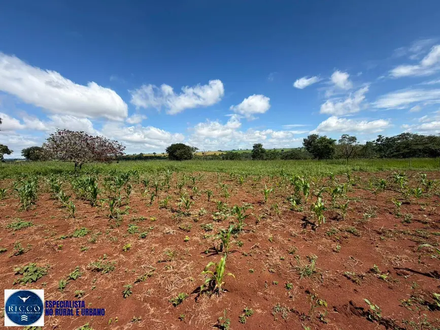 Foto 7 de Chácara com 12 quartos à venda, 24200m2 em Bela Vista De Goias - GO