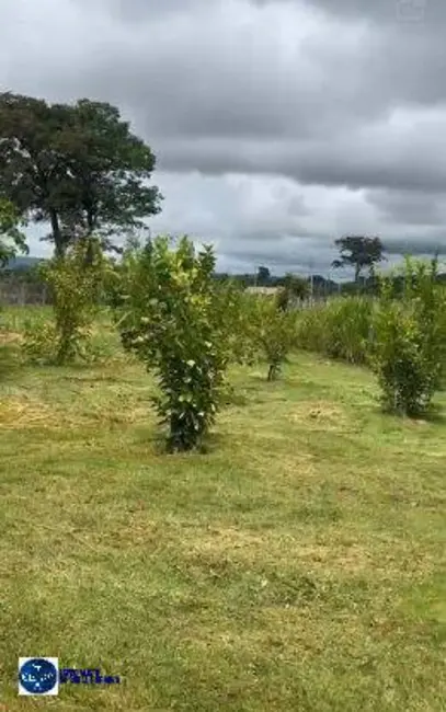 Foto 3 de Chácara à venda, 2216m2 em Residencial Terra Santa, Trindade - GO
