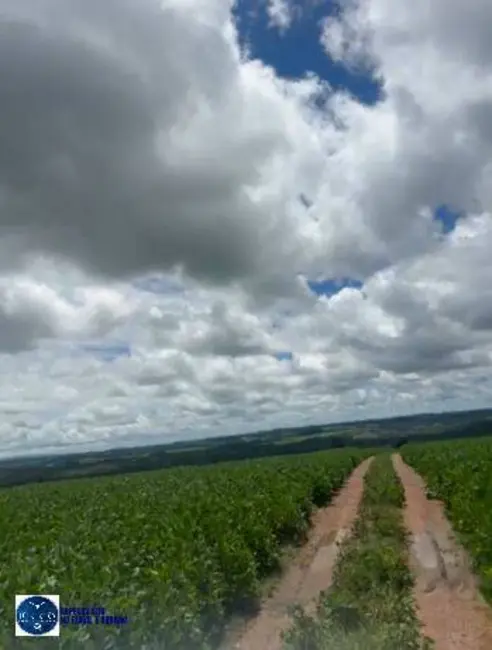 Foto 3 de Fazenda / Haras com 3 quartos à venda, 38m2 em Itapuranga - GO