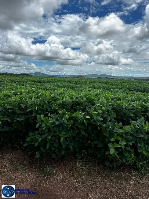 Foto 1 de Fazenda / Haras com 3 quartos à venda, 38m2 em Itapuranga - GO