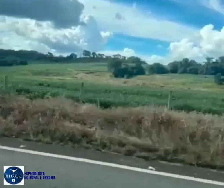 Foto 7 de Fazenda / Haras com 3 quartos à venda, 38m2 em Itapuranga - GO