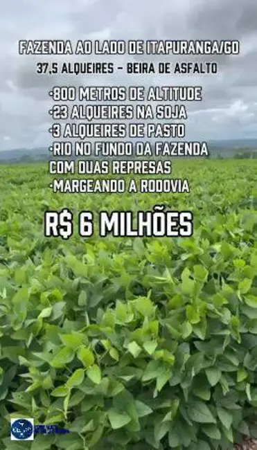 Foto 2 de Fazenda / Haras com 3 quartos à venda, 38m2 em Itapuranga - GO