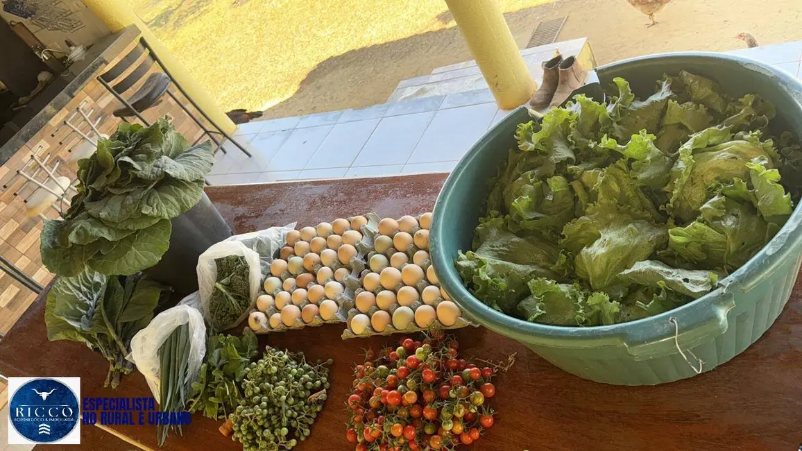 Foto 9 de Sítio / Rancho com 3 quartos à venda em Trindade - GO