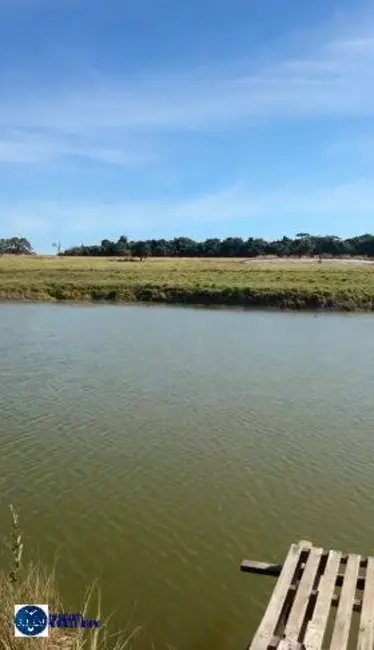 Foto 7 de Sítio / Rancho com 3 quartos à venda em Trindade - GO