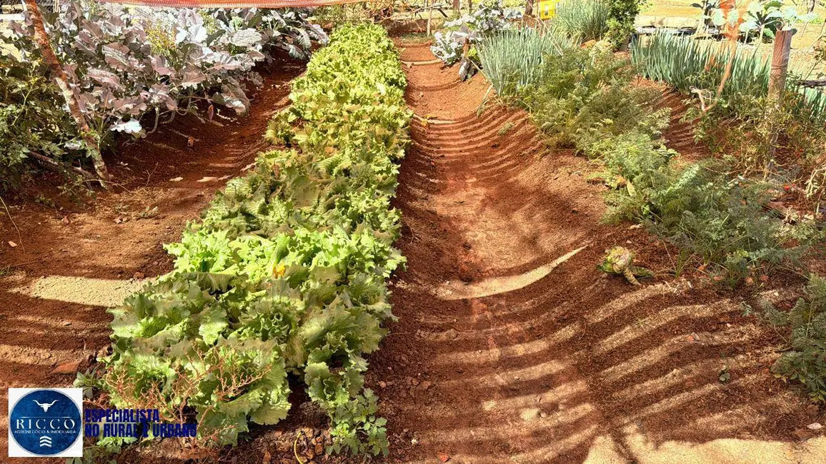 Foto 5 de Sítio / Rancho com 3 quartos à venda em Trindade - GO