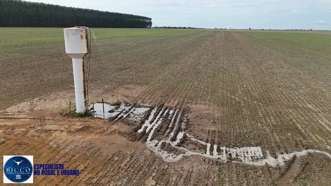 Foto 3 de Fazenda / Haras com 3 quartos à venda, 25m2 em Anapolis - GO