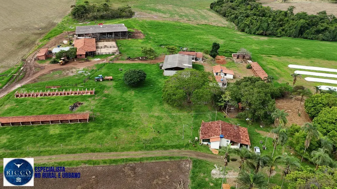 Foto 2 de Fazenda / Haras com 3 quartos à venda, 25m2 em Anapolis - GO