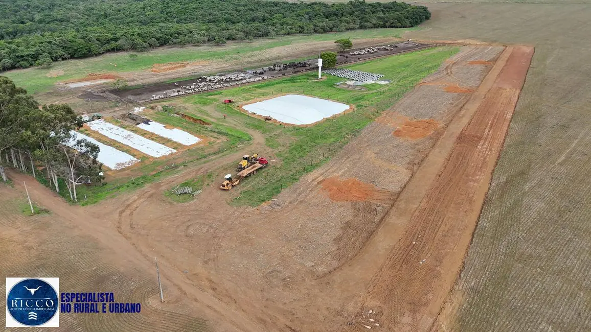 Foto 8 de Fazenda / Haras com 3 quartos à venda, 25m2 em Anapolis - GO