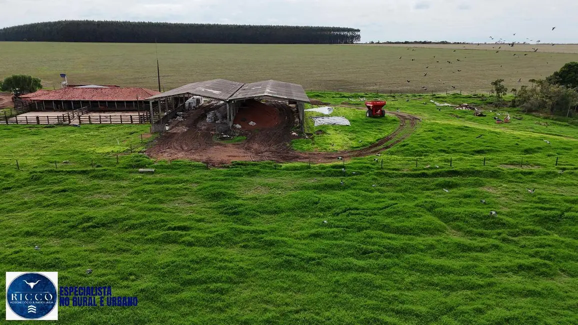 Foto 9 de Fazenda / Haras com 3 quartos à venda, 25m2 em Anapolis - GO