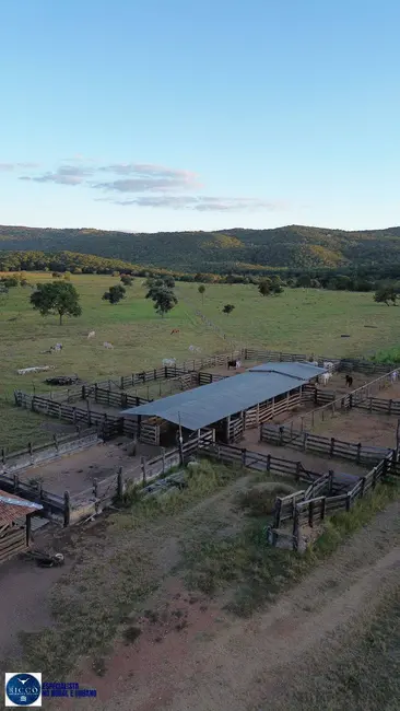 Foto 6 de Fazenda / Haras com 3 quartos à venda, 90m2 em Diorama - GO