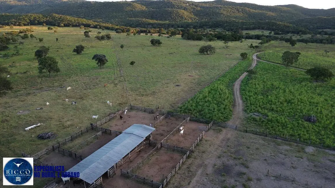 Foto 2 de Fazenda / Haras com 3 quartos à venda, 90m2 em Diorama - GO