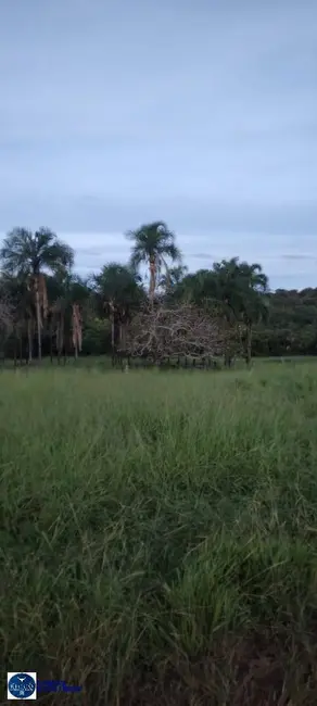 Foto 1 de Chácara com 3 quartos à venda, 8m2 em Amorinopolis - GO