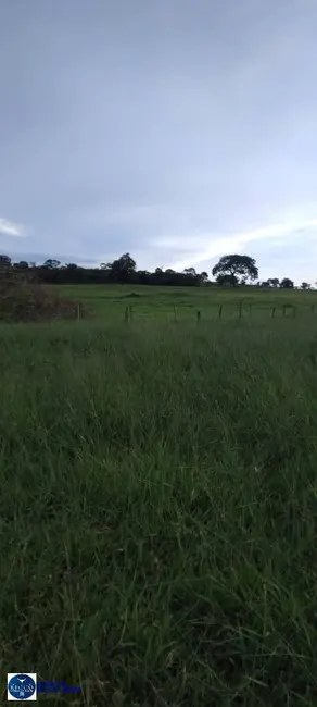 Foto 3 de Chácara com 3 quartos à venda, 8m2 em Amorinopolis - GO