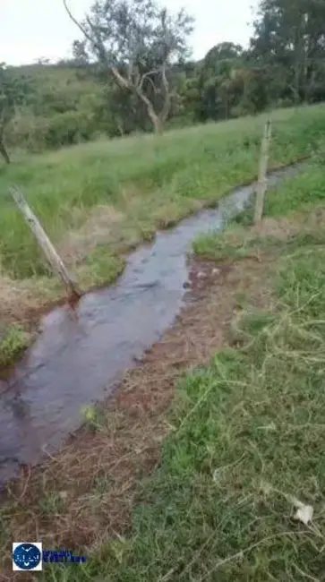 Foto 5 de Chácara com 3 quartos à venda, 8m2 em Amorinopolis - GO