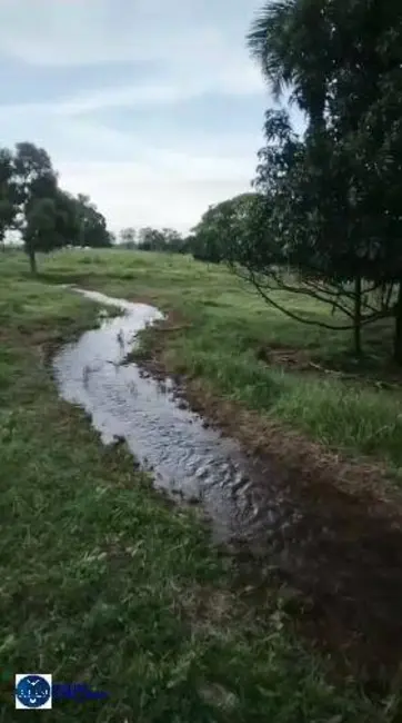Foto 6 de Chácara com 3 quartos à venda, 8m2 em Amorinopolis - GO