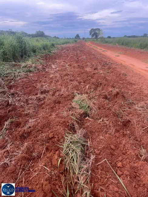 Foto 7 de Fazenda / Haras com 2 quartos à venda, 58m2 em Montes Claros De Goias - GO