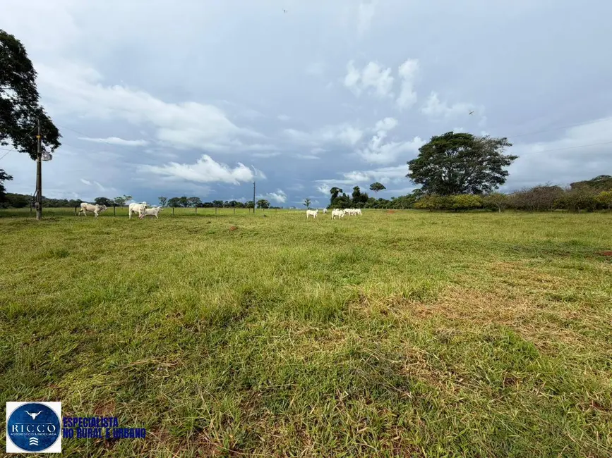 Foto 6 de Chácara com 7 quartos à venda em Caturai - GO