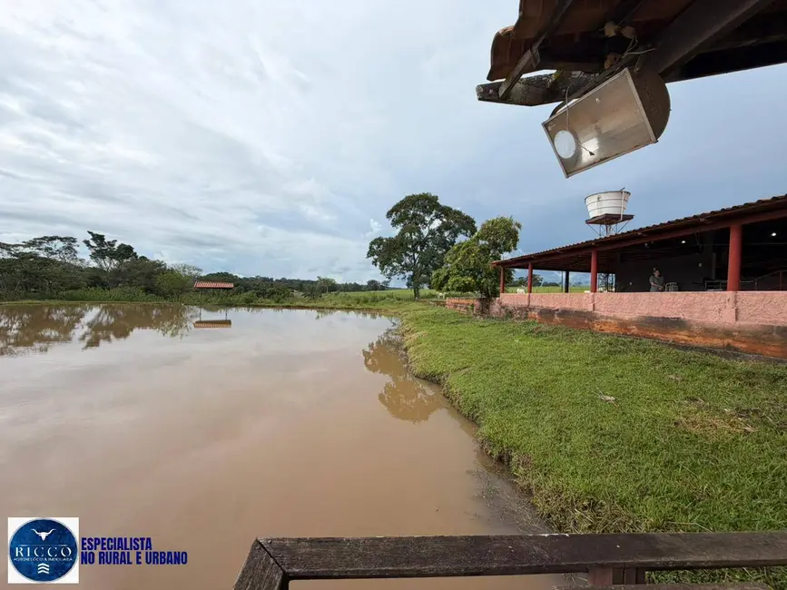 Foto 3 de Chácara com 7 quartos à venda em Caturai - GO