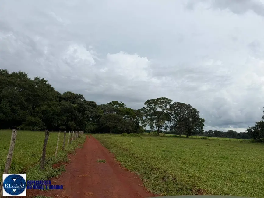 Foto 9 de Chácara com 7 quartos à venda em Caturai - GO