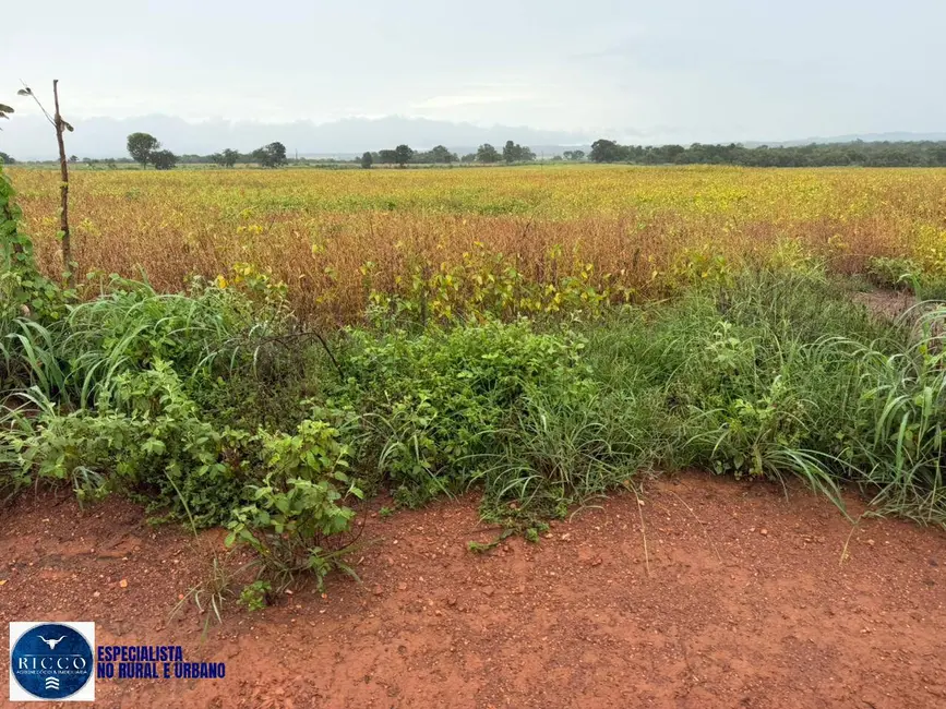Chácara com 3 quartos à venda, 10m2 em Jaupaci - GO - imagem 4 Foto 4 de Chácara com 3 quartos à venda, 10m2 em Jaupaci - GO