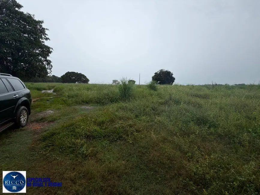 Chácara com 3 quartos à venda, 10m2 em Jaupaci - GO - imagem 7 Foto 7 de Chácara com 3 quartos à venda, 10m2 em Jaupaci - GO