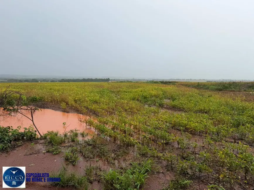 Chácara com 3 quartos à venda, 10m2 em Jaupaci - GO - imagem 8 Foto 8 de Chácara com 3 quartos à venda, 10m2 em Jaupaci - GO