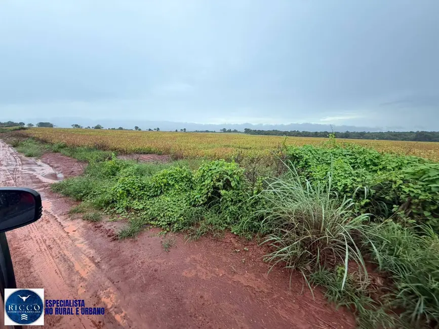 Chácara com 3 quartos à venda, 10m2 em Jaupaci - GO - imagem 3 Foto 3 de Chácara com 3 quartos à venda, 10m2 em Jaupaci - GO