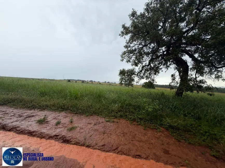 Chácara com 3 quartos à venda, 10m2 em Jaupaci - GO - imagem 1 Foto 1 de Chácara com 3 quartos à venda, 10m2 em Jaupaci - GO