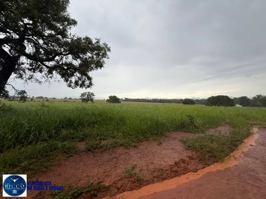 Chácara com 3 quartos à venda, 10m2 em Jaupaci - GO - imagem 5 Foto 5 de Chácara com 3 quartos à venda, 10m2 em Jaupaci - GO