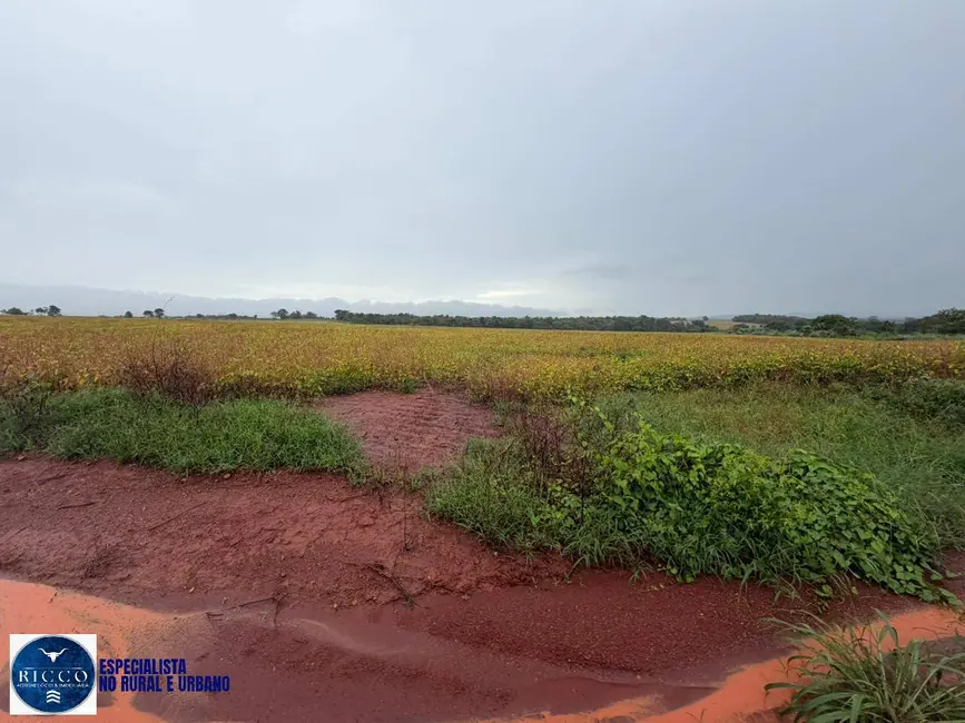 Chácara com 3 quartos à venda, 10m2 em Jaupaci - GO - imagem 9 Foto 9 de Chácara com 3 quartos à venda, 10m2 em Jaupaci - GO