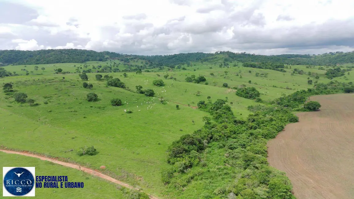 Foto 4 de Fazenda / Haras com 4 quartos à venda, 333m2 em Itaucu - GO