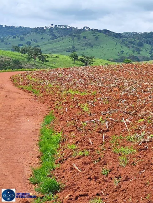 Foto 2 de Fazenda / Haras com 4 quartos à venda, 333m2 em Itaucu - GO